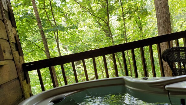 Uma banheira de hidromassagem com um deck de madeira e vista para uma área arborizada.