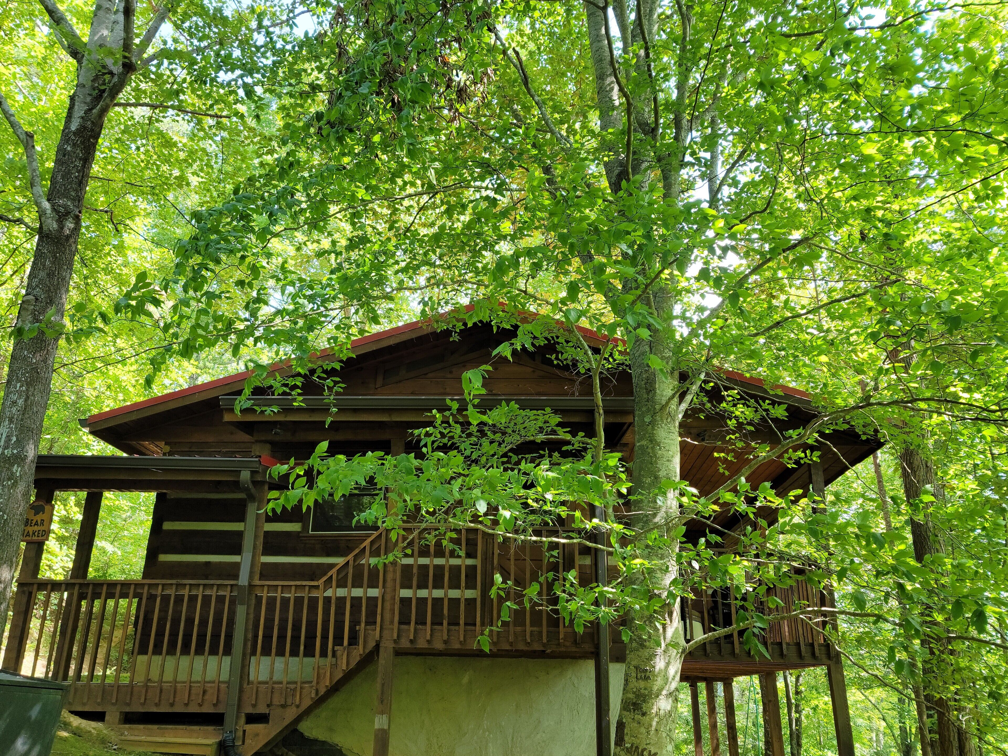 Una cabaña de madera con balcón, rodeada de densa vegetación verde.