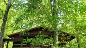 Uma cabana de madeira com varanda, rodeada por vegetação verde densa.