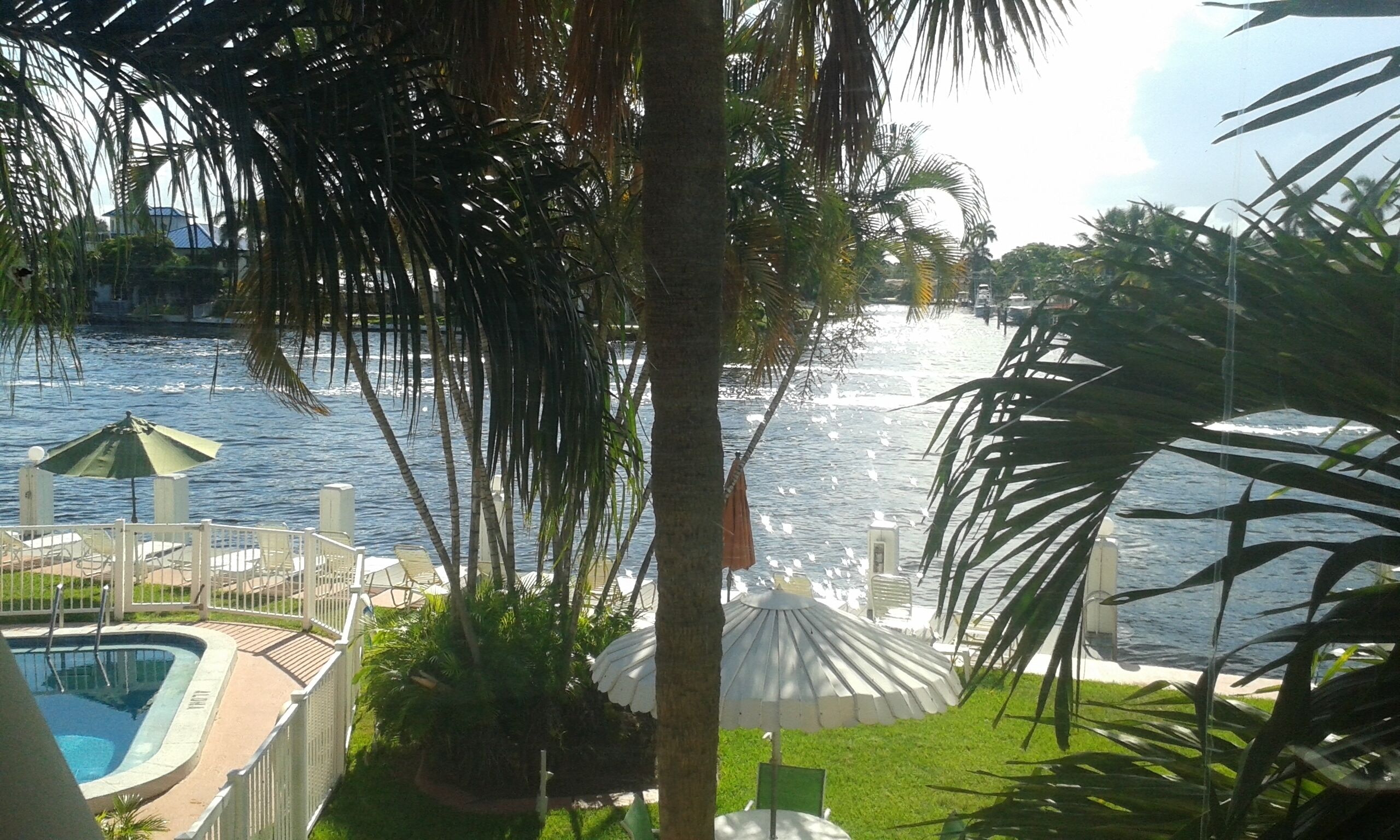 A pool area with a view of the water, surrounded by palm trees and umbrellas.