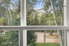 A view through a window of a residential area with birch trees, a stop sign, and a road.