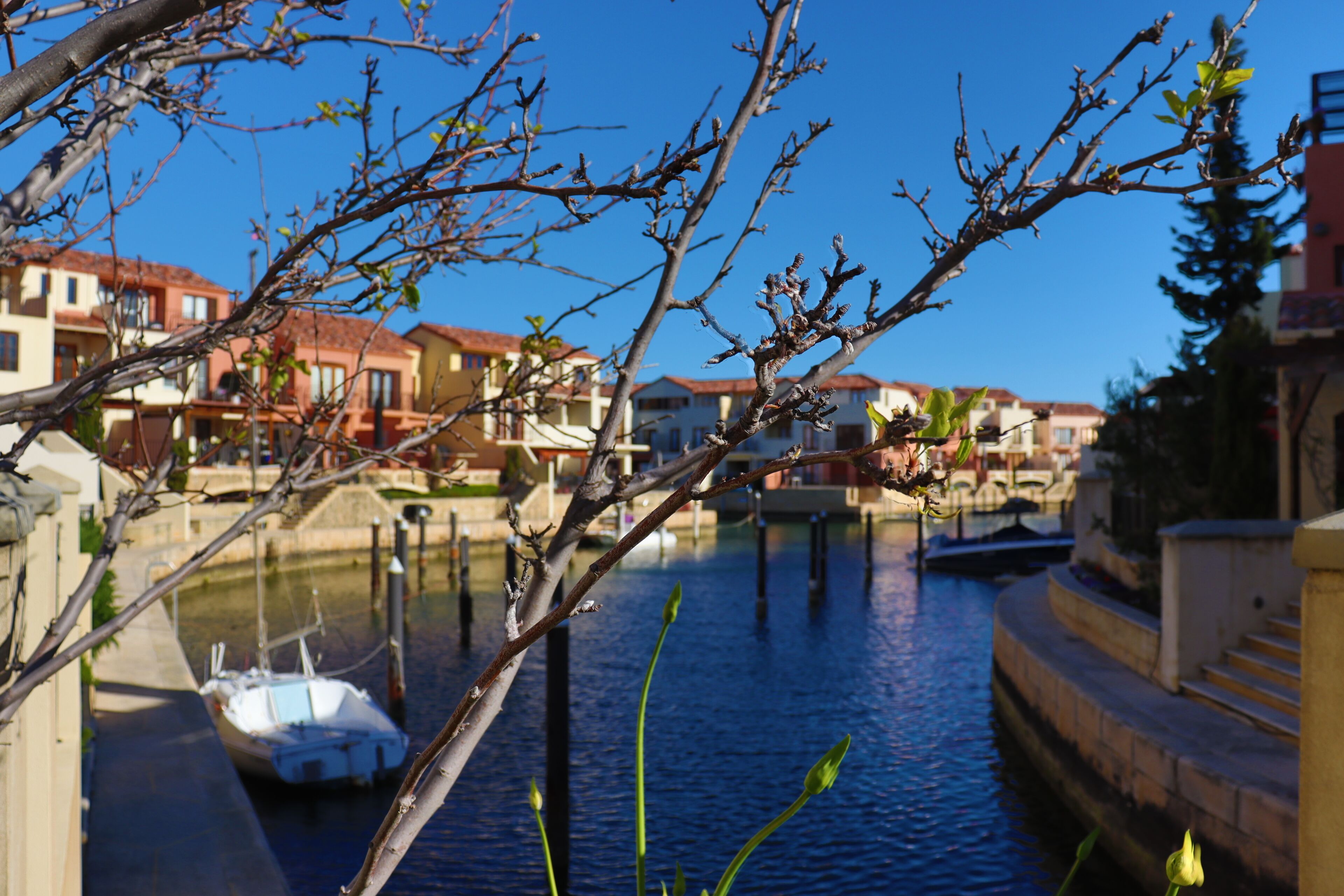 Villa Port Grimaud on Bouvard Island — image 2