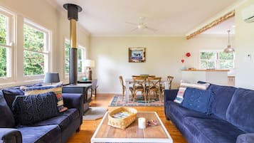 Smart TV, fireplace, DVD player, books