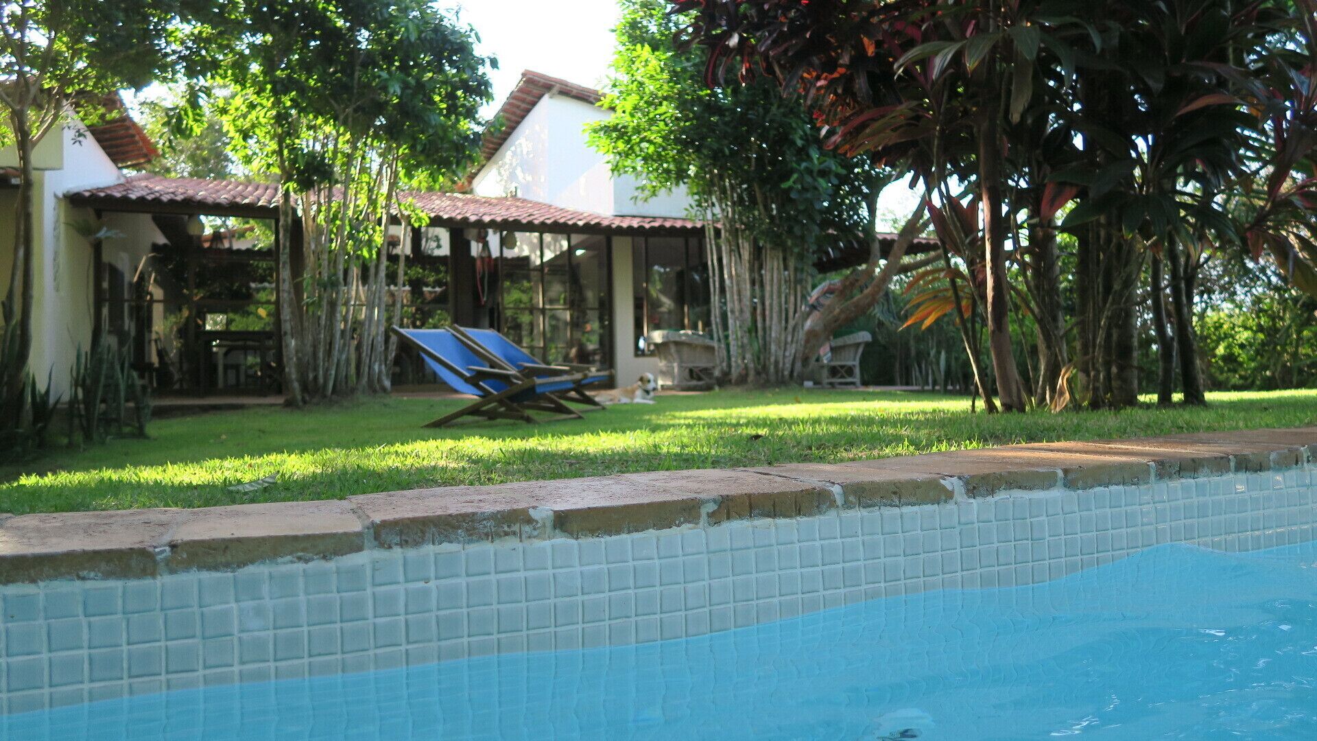 Superb breeze to enjoy Pipa !!