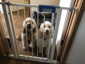 Photo non classée, 3 sur 36, bouton