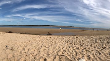 Playa en los alrededores y camastros 