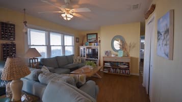 Télévision, lecteur de DVD, livres