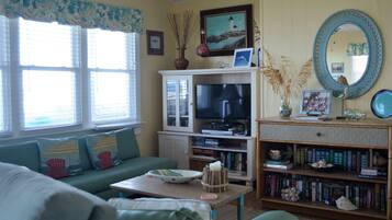 Télévision, lecteur de DVD, livres