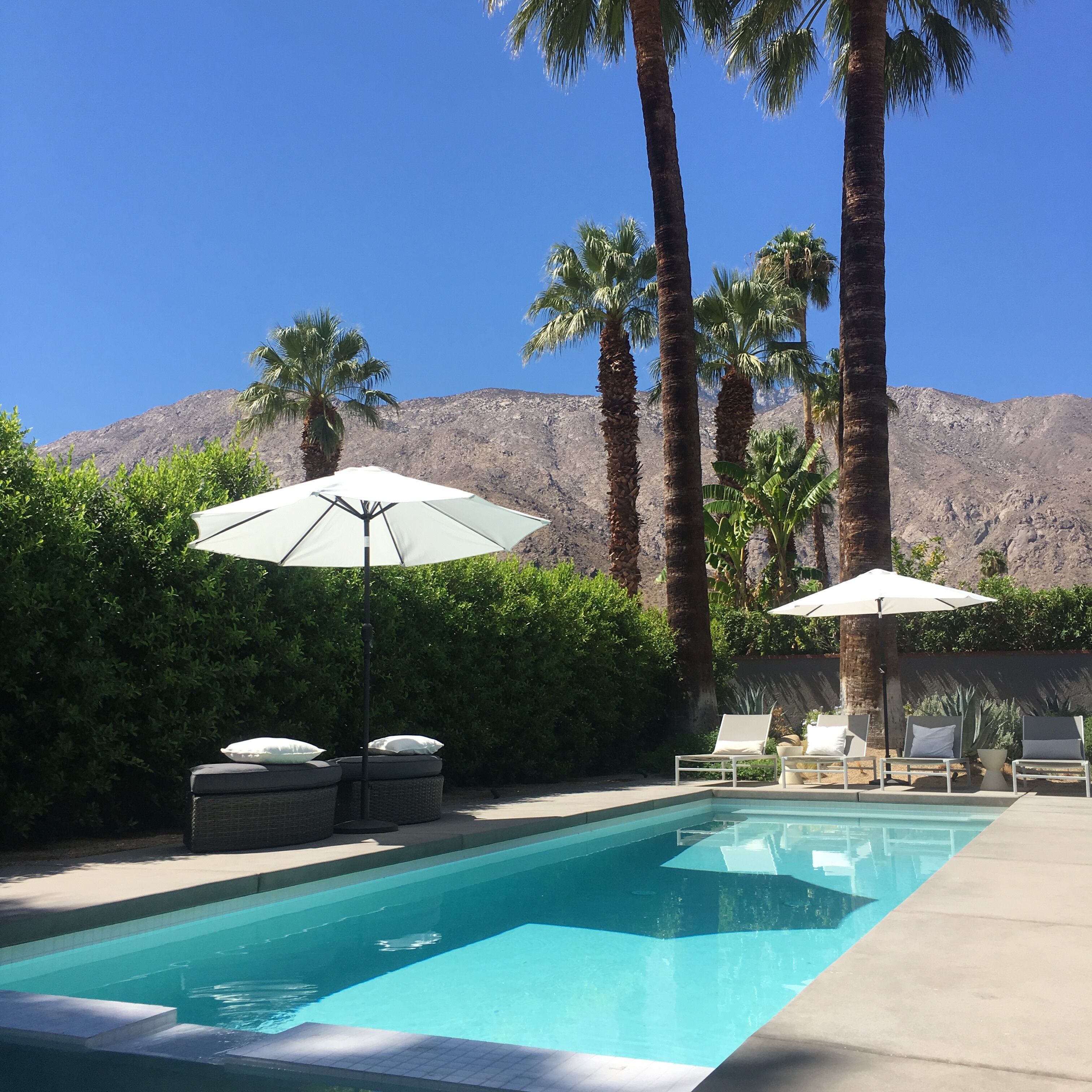Special Limited-time Discount in The Heart of Palm Springs!