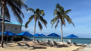 A beach with palm trees, blue umbrellas, and sun loungers.