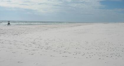 Relax on the Bay. Screened porches, dog friendly, fenced yard