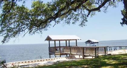 Lugar tranquilo en la bahía. Perro amistoso.