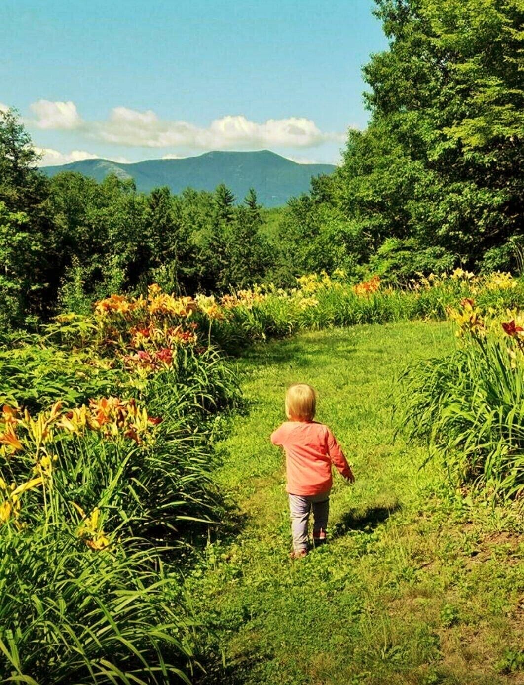 5 Minutes to Cranmore Adventure Park, 15 min to Storyland or Outlets, Jacuzzi!