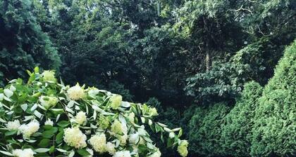 Hermosa casa de 4 dormitorios en una gran propiedad en zona privada con piscina.