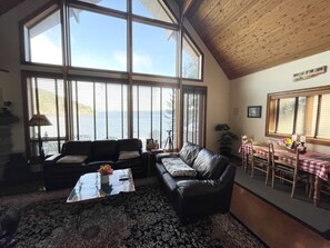 Smart TV, fireplace, DVD player, books