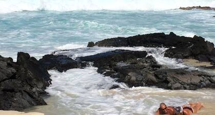 Summer Special Family and Friends1 Walk to the Beach! Free Organic Farm Tour!