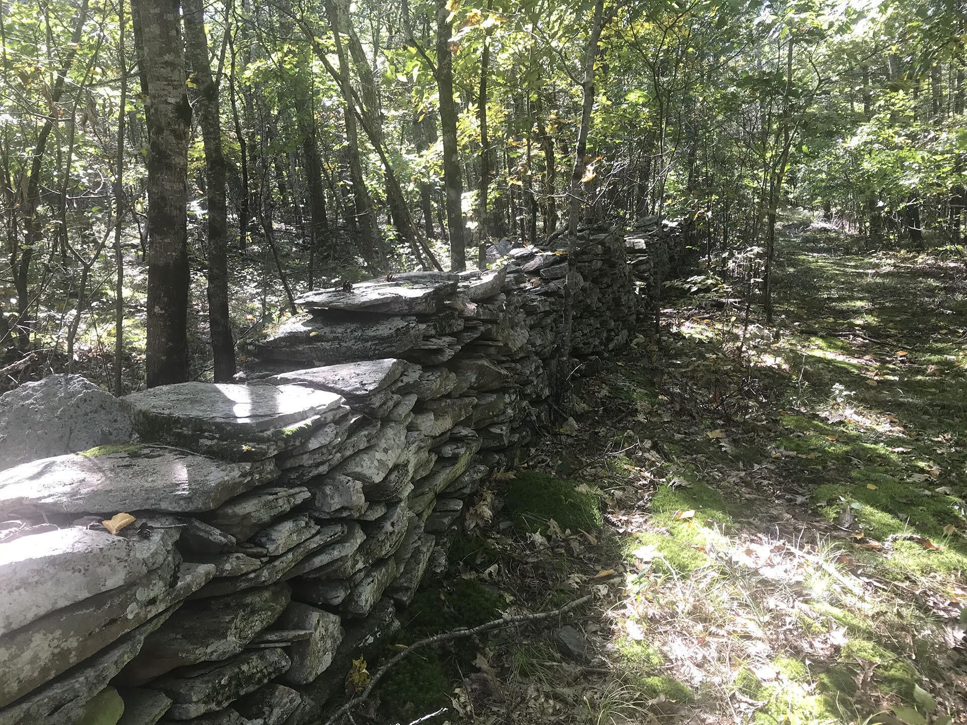 A stone wall in a forested area.