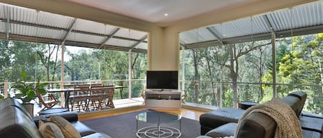 Smart TV, chimenea, reproductor de DVD y videoteca