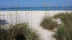 A beach with sand and sparse grass in the foreground, leading to a calm sea under a clear sky.