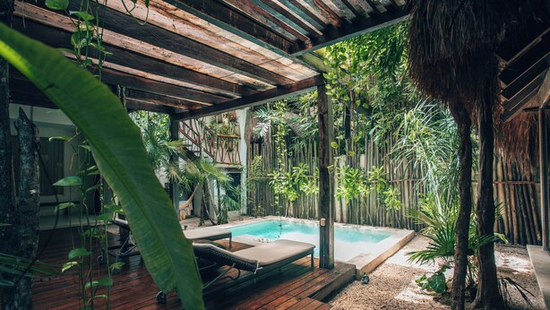 A wooden deck with a pool, surrounded by lush tropical plants and a bamboo fence. - Orchid House Tulum Jungle (Tulum)