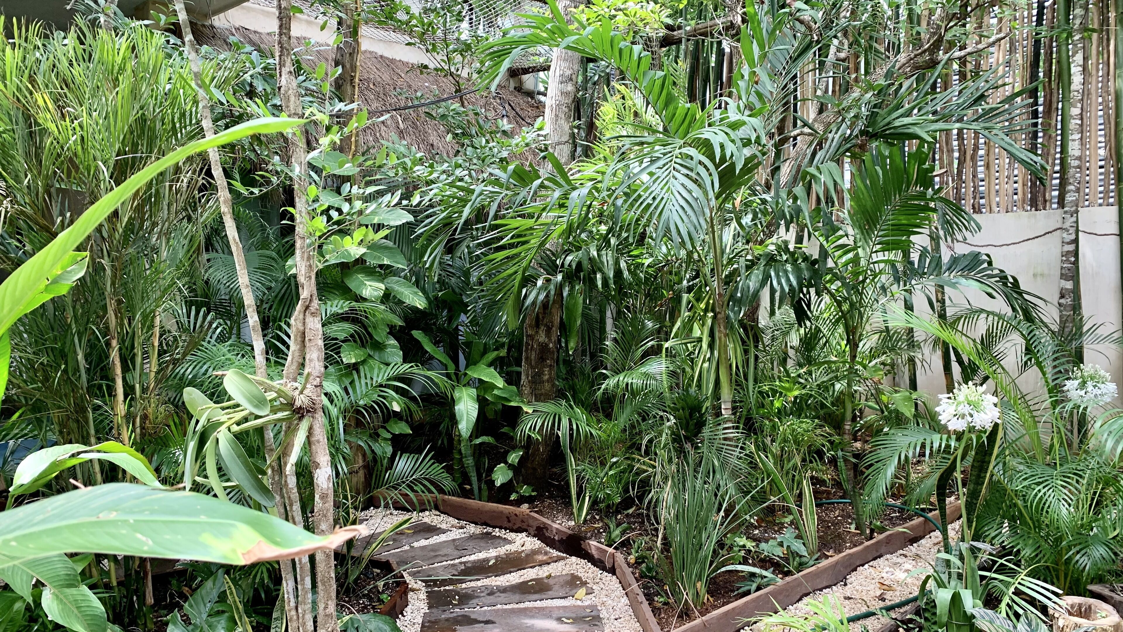Photo - Orchid House Tulum Jungle