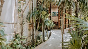 A narrow pathway flanked by lush greenery and bamboo structures, leading to a wooden door. - Orchid House Tulum Jungle (Tulum)