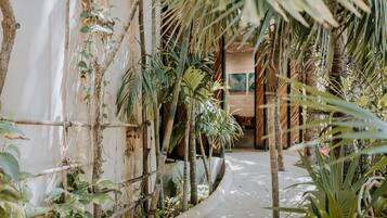 Ingresso della struttura