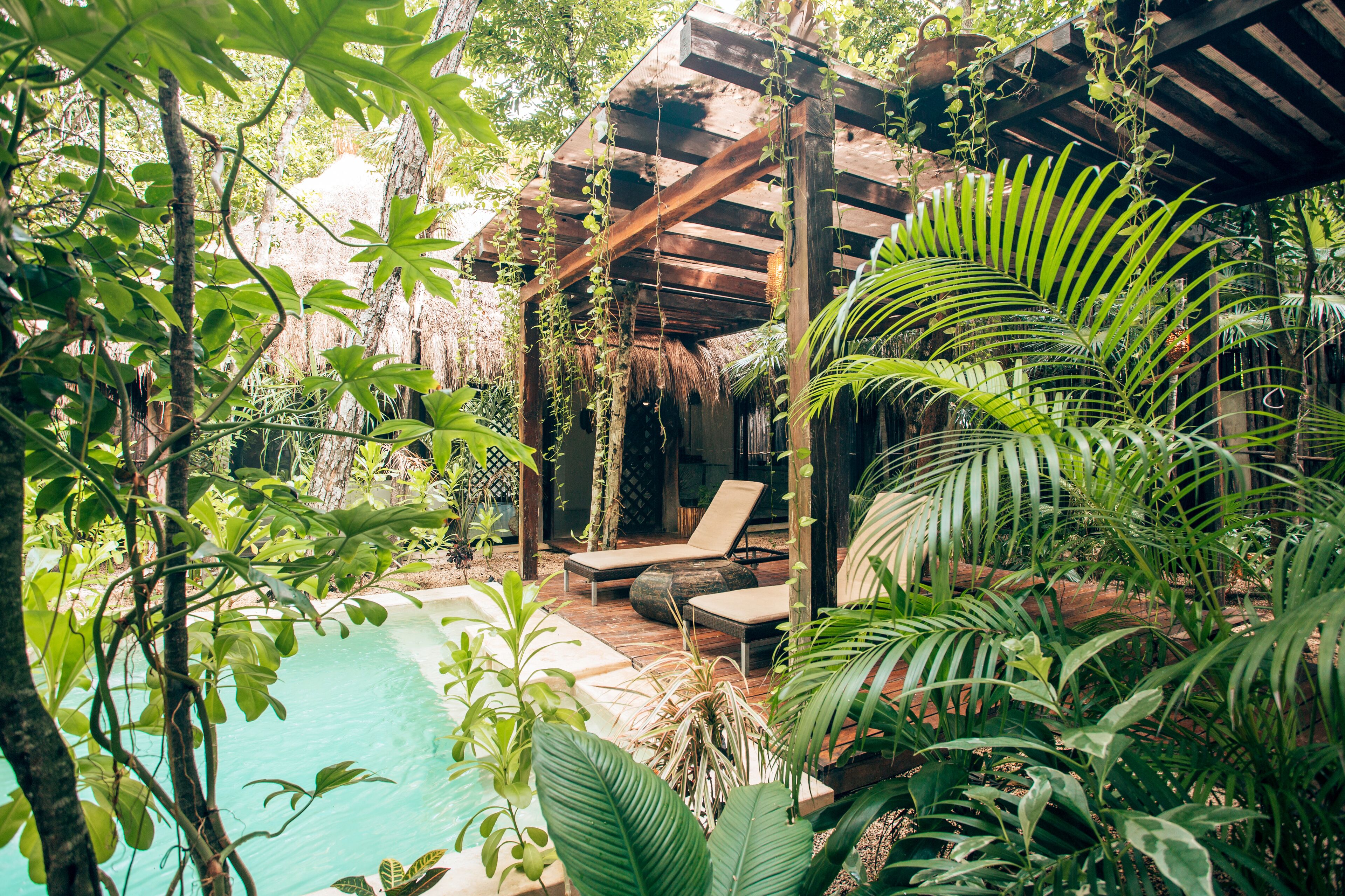 Photo - Orchid House Tulum Jungle