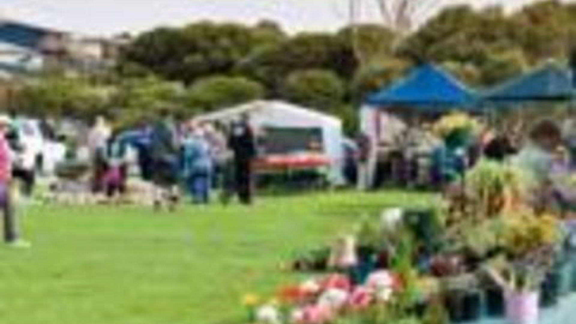 All Seasons escape Port Elliot — image 22
