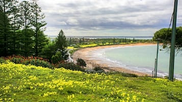 Una playa cerca