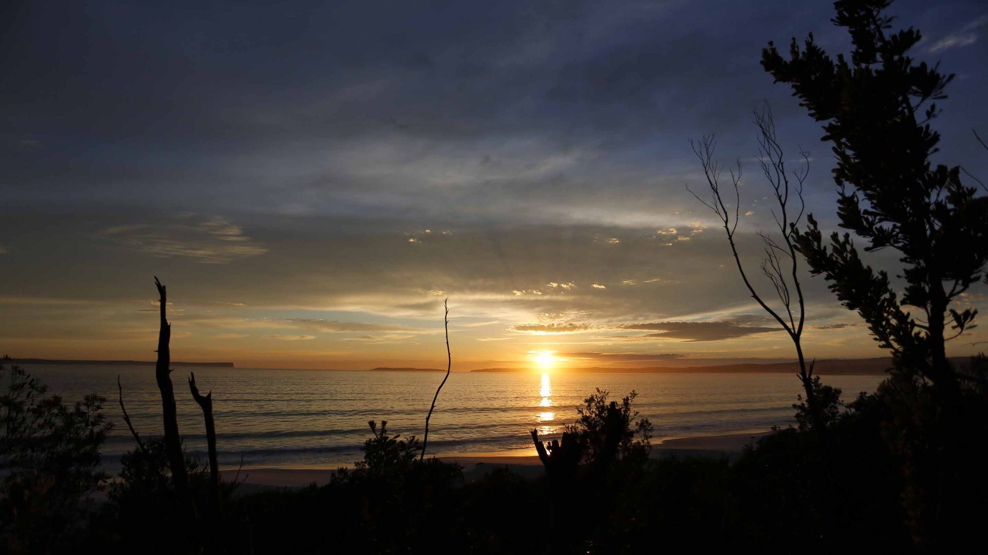 Seaside Serenade @ Hyams Beach — image 21
