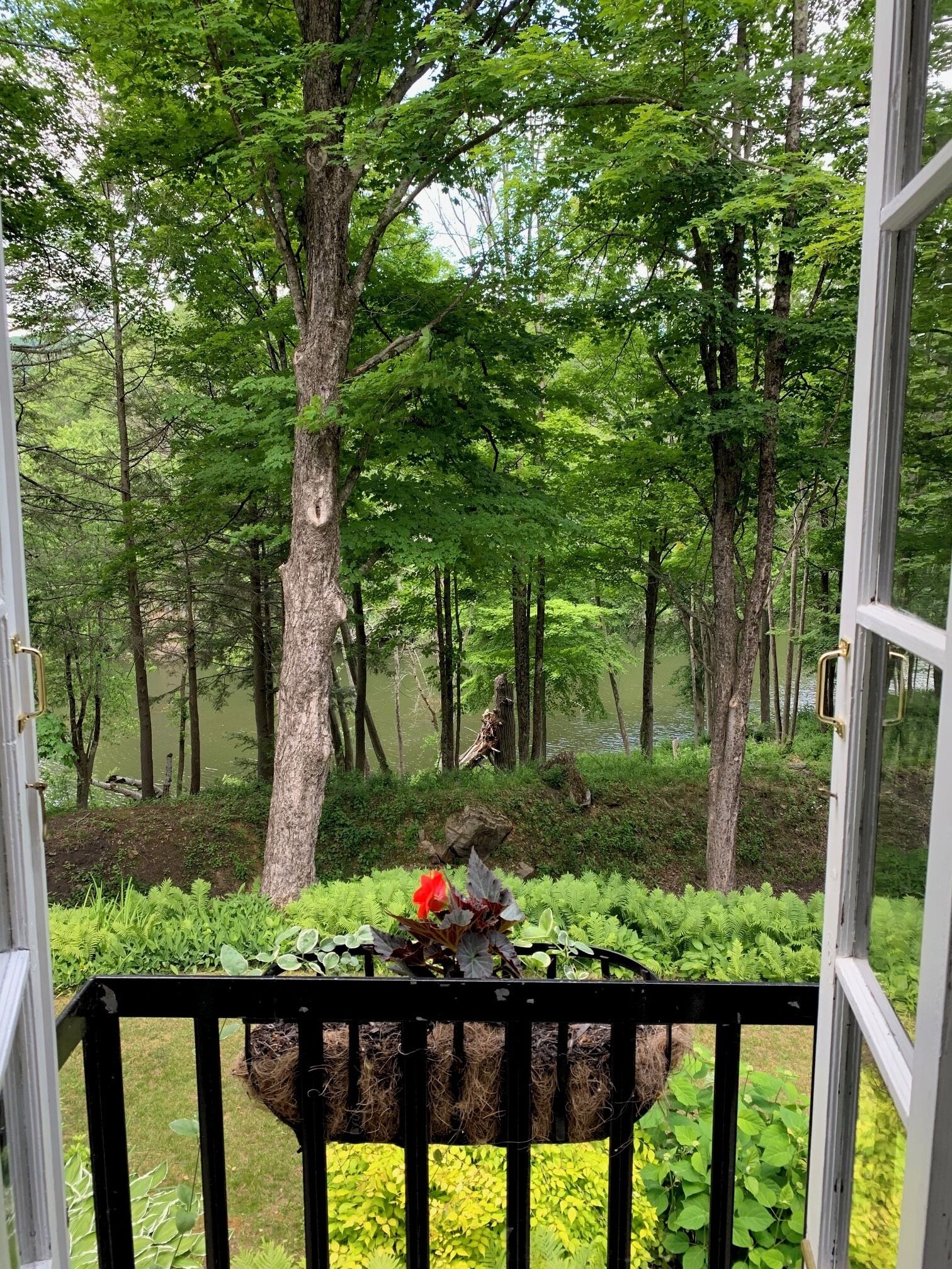 Overnattingsstedets uteområder