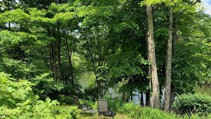 A serene outdoor seating area with a table and chairs, surrounded by lush greenery and tall trees.