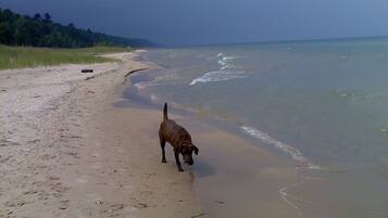 Beach nearby, sun loungers, beach towels
