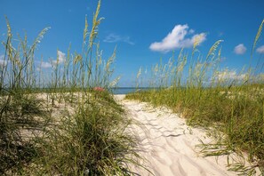 A sandy beach path with tall grasses leading to the sea under a clear blue sky.