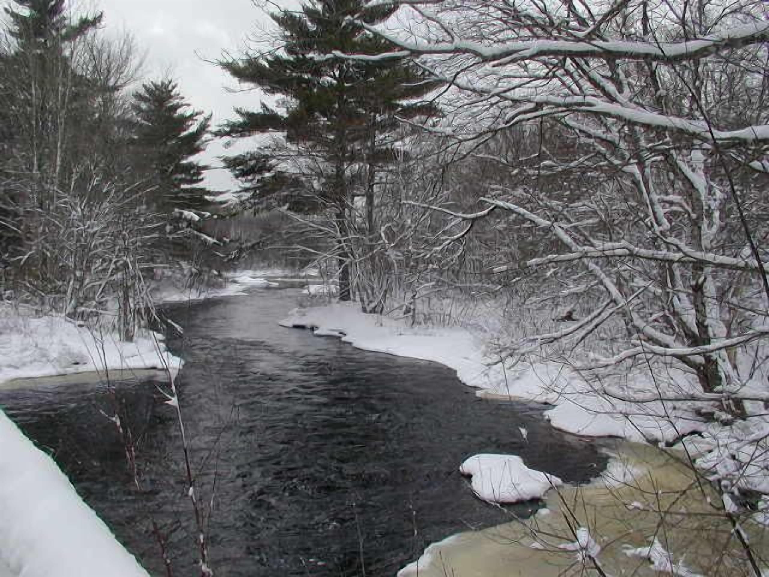 Une rivière recouverte de neige, bordée de chaque côté par des arbres sans feuilles.