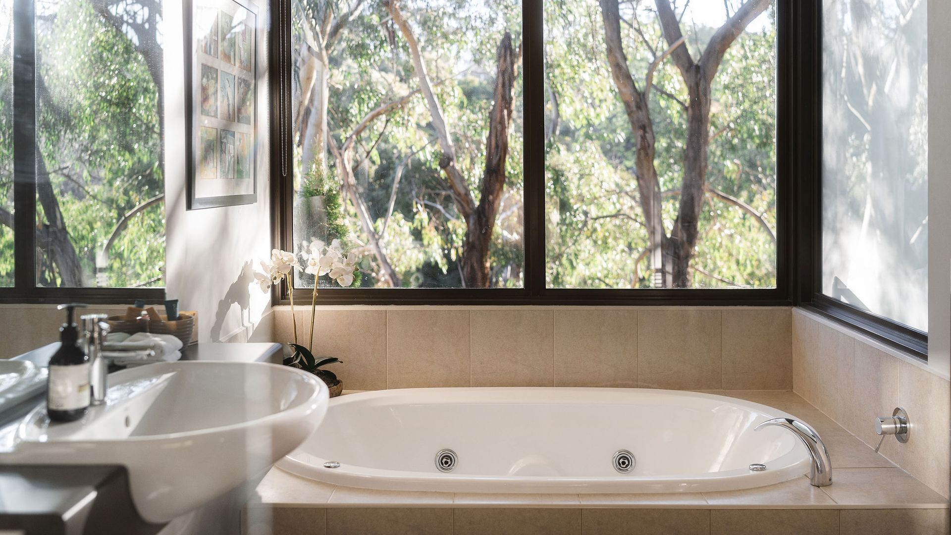 Een badkamer met een bad, een wastafel en een raam met uitzicht op bomen.