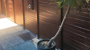 Une plante en pot, dotée d’un seul tronc et de plusieurs branches, placée devant un portail en métal de couleur marron.