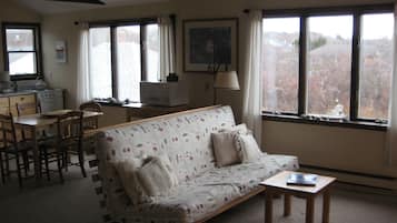 TV, books, stereo