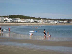 A beach with houses in the background and people engaging in various activities.