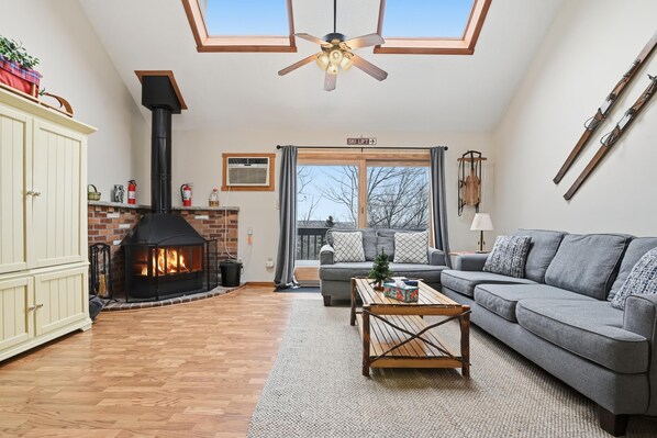 Smart TV, fireplace, DVD player, video library