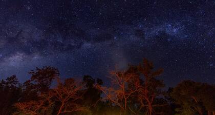 Kenilworth River Oaks on Mary River - Pet friendly