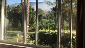Una ventana con vistas a un paisaje boscoso, que incluye árboles y un fondo montañoso.