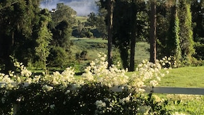 Un paisaje verde y exuberante con una variedad de árboles, incluyendo coníferas altas y arbustos con flores.