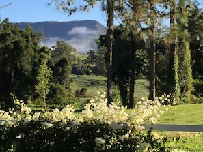 Property grounds - Kenilworth River Oaks on Mary River - Pet friendly (Kenilworth)