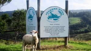 Zwei Schilder für Johanna River Farm & Cottages, die ferienwohnungen mit Selbstversorgung, Meer-, Bauernhof- und Talesicht, Kaminfeuer und jeglichem Komfort bewerben. Es werden Ein-Schlafzimmer-Wellness-Cottages sowie Zwei-Schlafzimmer-Familien-Cottages angeboten, Haustiere sind willkommen. Im Vordergrund ist ein Schaf zu sehen.