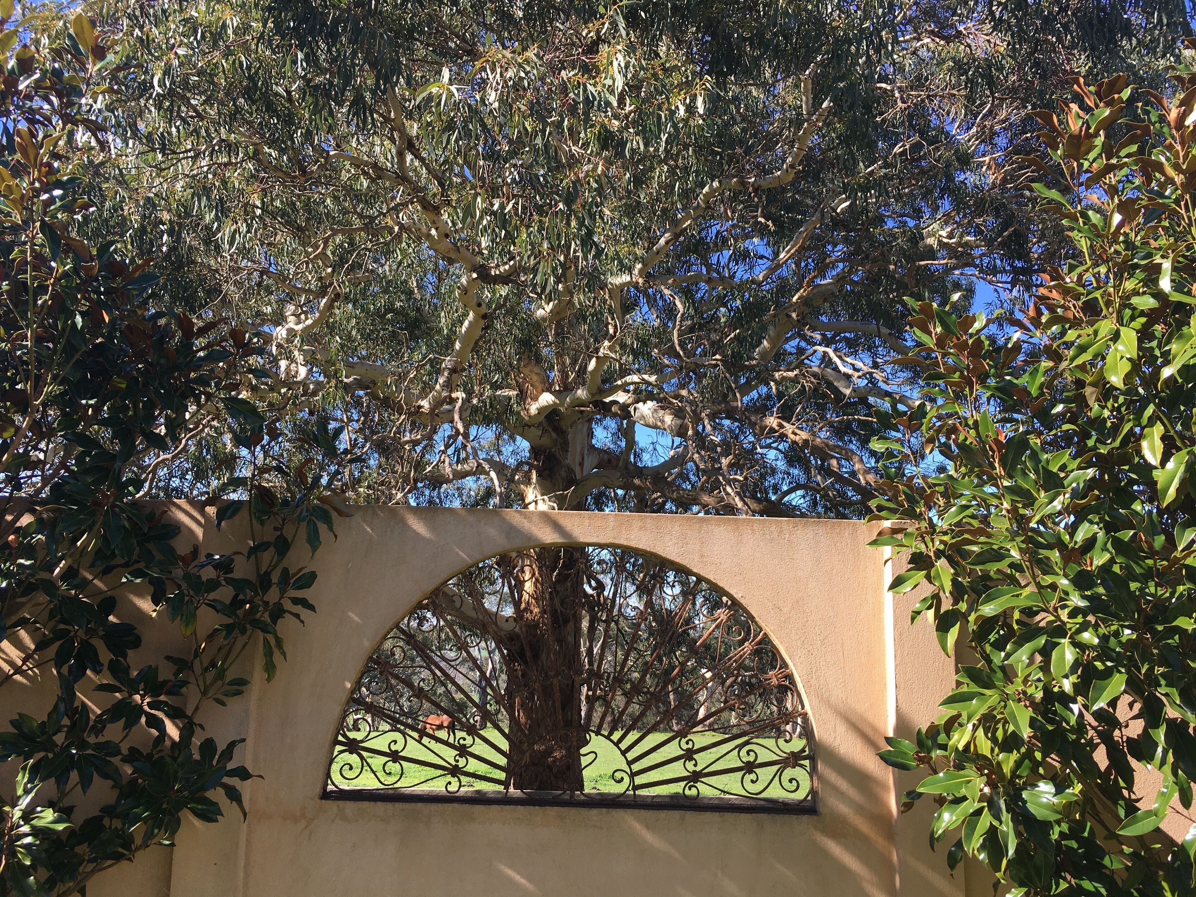 The Pool House with Pool — image 7