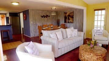 TV connectée, Netflix, lecteur de DVD, services de streaming