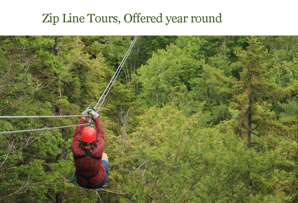 A person zip lining through a forest.