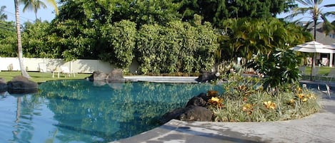屋外プール、温水プール
